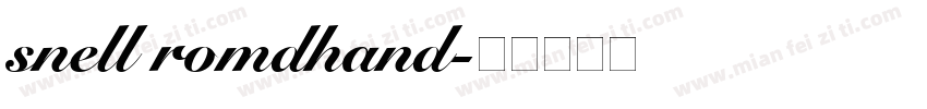 snell romdhand字体转换